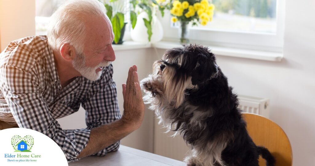 A senior man “high-fives” his pet dog, showing the type of close relationship professional caregivers should be aware of when caring for clients.